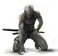 Raiden151