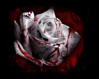 xNymesis