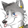 KovuTheHusky