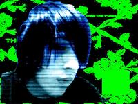 fallofshane