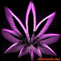 Skyler420