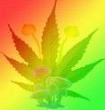 badazz420