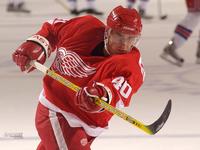 redwingboy