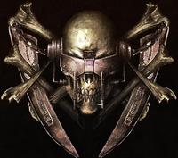 Vaalgor