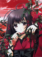 shiko13