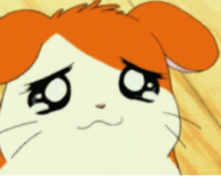 AceFox3