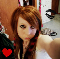 BlackRosePetals-
