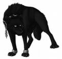 Knight Wolf