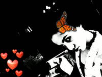 shosho11