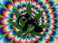 FFR Toker