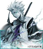 {Hitsugaya}