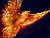 Avian666