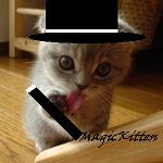 Magic Kitten