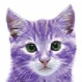 Shamrock_kitty