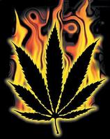 tokinfiend420