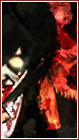 lulalucard