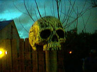 brandonmaske