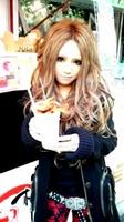 Lammergeier