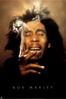 haynangel420