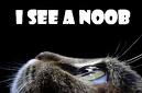 noobraiser