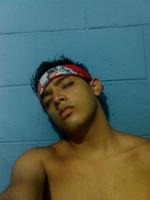pavu12