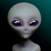 rockdis12inch