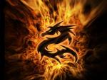 scorpion556