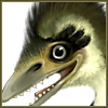 barefootfoof