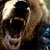 Zebeare