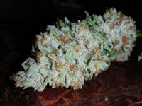 Professor Marijuana