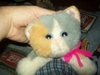Cute Kitten