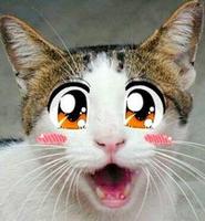 garzuo