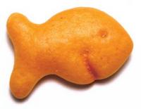 DEATHBYGOLDFISH's Avatar