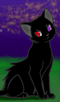 Kitty_Arrows