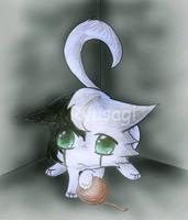 dark kitty