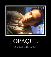 OpaqueAsylum