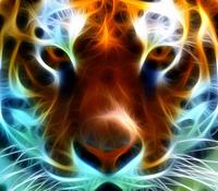 Rebel_Tiger