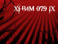 XI B4M 079 IX