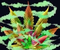 SkyHigh420