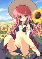 Miko Soft