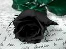 Death_X_Rose_XV