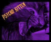Psycho Kitten