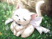 adorablekeiko