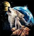 Wolf's Cloud