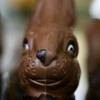 Choco^^"