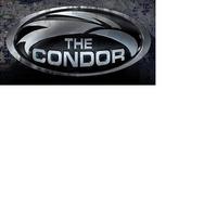The Downed Condor