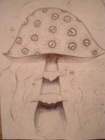 Digested.Shrooms
