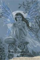 Fairy347