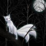 Spirit_Kitsune