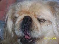 Fides et Amor